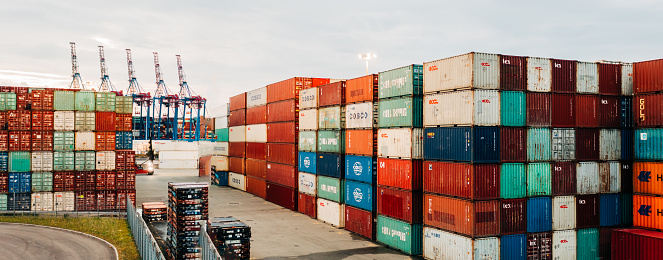 The Effects of Supply Chains on the Economy